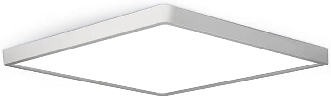LED Flush Mount Ceiling Light Fixture, 2800K Warm White, 12inch 24W, Slim Flat by theBingotec