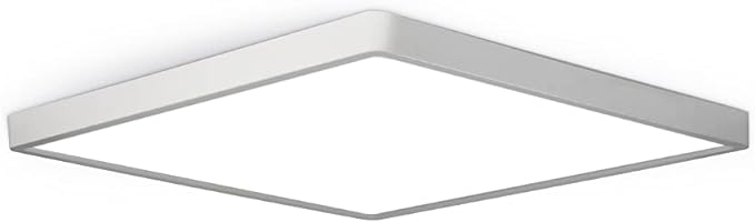 LED Flush Mount Ceiling Light Fixture, 4000K Neutral White, 12inch 24W by theBingotec