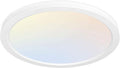 hykolity 12 Inch Selectable CCT LED Round Flat Panel Light, 24W by hykolity