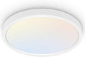 hykolity 18 Inch LED Round Flat Panel Light, 3000K/4000K/5000K CCT Selectable by hykolity