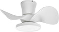 ocioc Quiet Ceiling Fan with LED Light 22 inch Large Air Volume Remote Control by ocioc