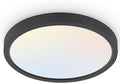 hykolity 18 Inch LED Round Flat Panel Light, 3000K/4000K/5000K CCT Selectable by hykolity