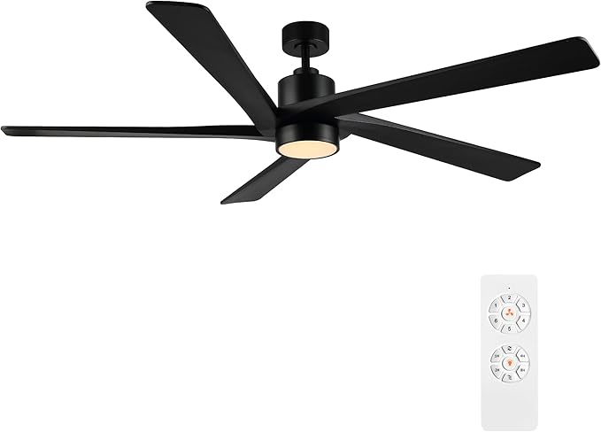 WINGBO 64" DC Ceiling Fan with Lights, 5 Carved Solid Wood Blades, 6-Speed by HomePage