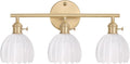 Shenmoyl Bathroom Light Fixtures, 3-Light Brass Vanity Wall Light Over Mirror by Shenmoyl
