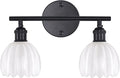 Shenmoyl Bathroom Light Fixtures, 2-Light Black Vanity Wall Light Over Mirror by Shenmoyl