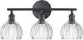 Shenmoyl Bathroom Light Fixtures, 3-Light Black Vanity Wall Light Over Mirror by Shenmoyl