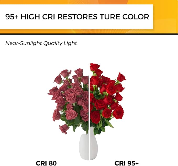 Hizashi Vintage LED Edison Bulb Dimmable, 6W Equivalent 60W, 2700k Warm White - Image 5