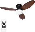 Glowall Small Ceiling Fan with Lights and Remote, Small Quiet, DC Motor by Glowall
