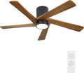 WINGBO 48 Inch Flush Mount DC Ceiling Fan by HomePage