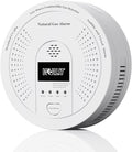 Explosion-Proof Natural Gas Detector Alarm by WGRLIT