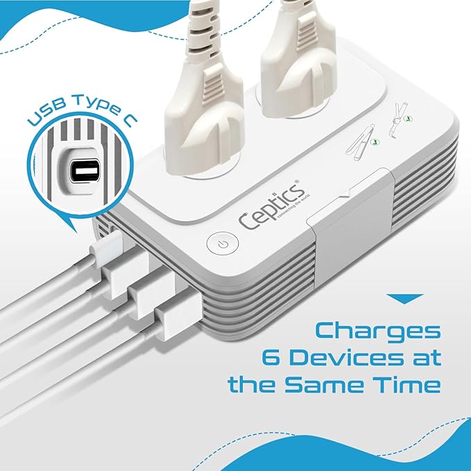 Ceptics South Africa Voltage Converter - 200W Convert 220V to 110V - Image 7