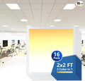 CycevSun 2x2 LED Drop Ceiling Flat Panel Light Fixture, 0-10V Dimmable by CycevSun