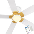 SMAAIR 52 Inch Smart Ceiling Fan by SMAAIR