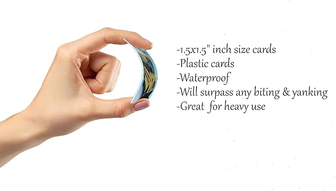 Visual Communication Book, 162 ASD Photo Picture Cards: Autism Language - Image 8