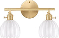 Shenmoyl Bathroom Light Fixtures, 2-Light Brass Vanity Wall Light Over Mirror by Shenmoyl