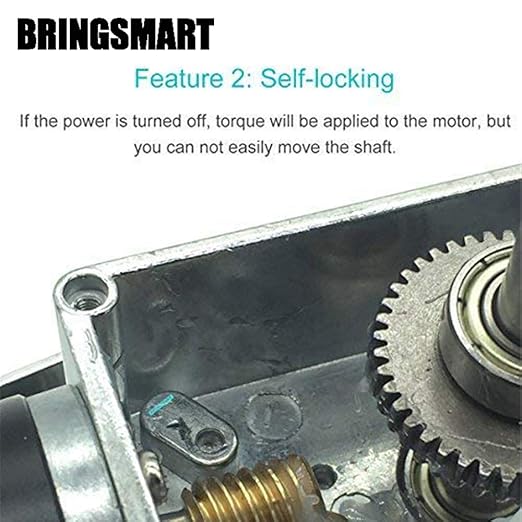 BRINGSMART 12V 160rpm DC Worm Gear Motor 10kg.cm Self-Locking Engine Reversed - Image 4