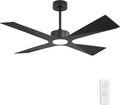 WINGBO 54" Wet Rated Outdoor Ceiling Fan by HomePage