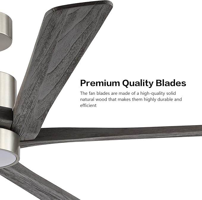 WINGBO 64 Inch DC Ceiling Fan - Image 6