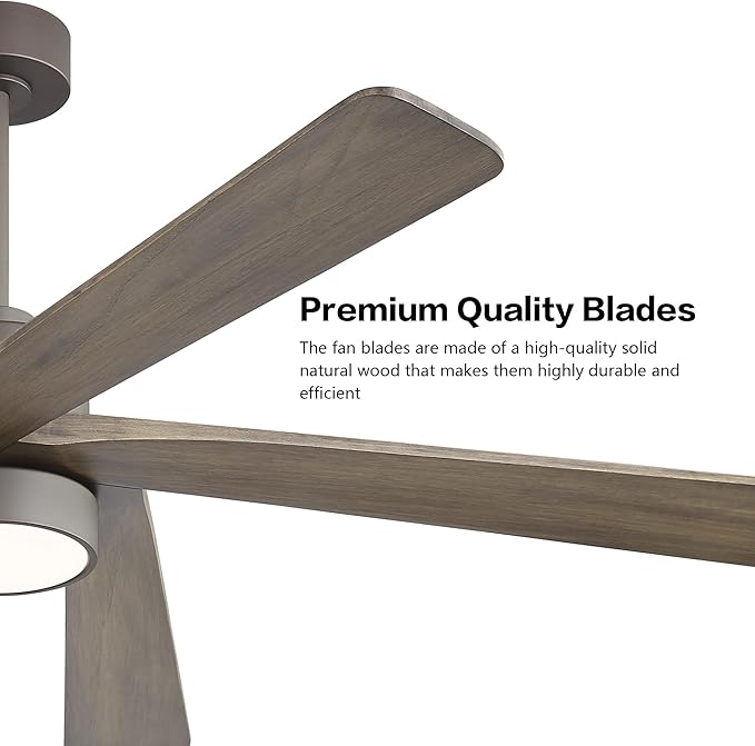WINGBO 64 Inch DC Ceiling Fan - Image 6