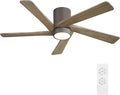 WINGBO 54 Inch Flush Mount DC Ceiling Fan by HomePage