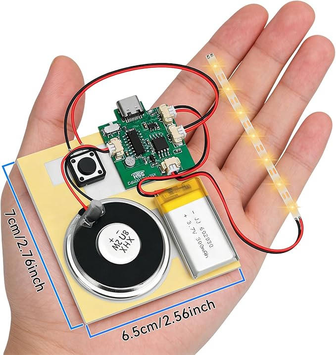 2PCS Customize Recording Module - Image 9