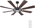 ELEHINSER 60 Inch Ceiling Fan by ELEHINSER