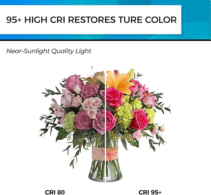 Hizashi Vintage LED Light Bulb Dimmable, 6W Equivalent 60W, 5000k Daylight - Image 5