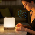 LIPKAHH Touch Lamp for Nightstand, Speech Control Bedside Lamp Touch Control by LIPKAHH