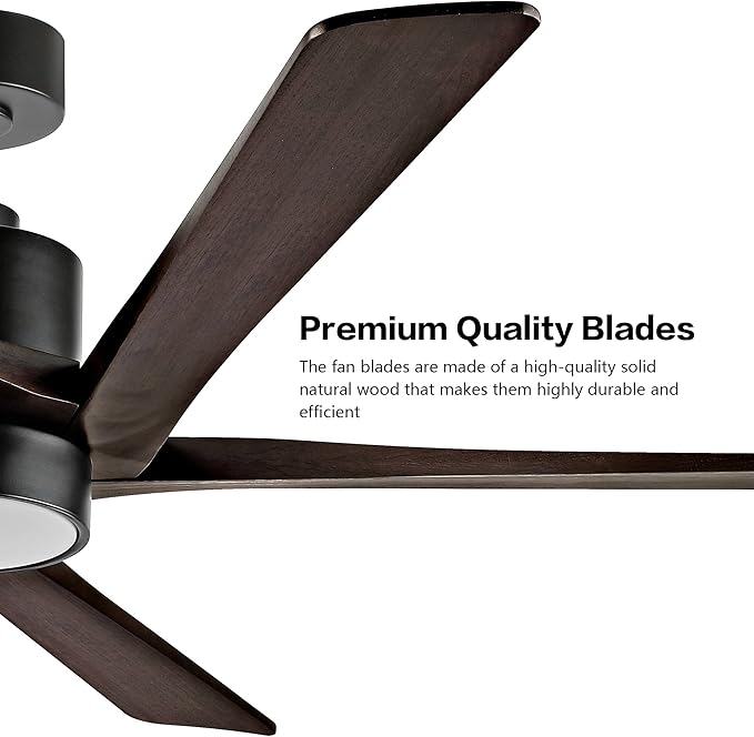 WINGBO 54 Inch DC Ceiling Fan - Image 5