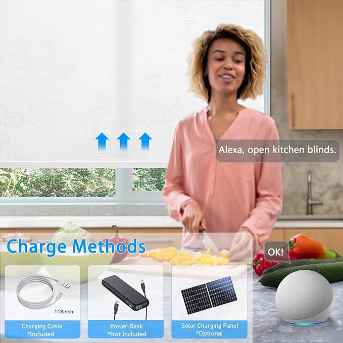 COOLWINDS Motorized Blinds - Image 6