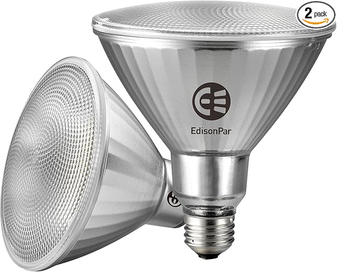 EdisonPar Full-Glass PAR38 LED Flood Light Bulbs Outdoor/Indoor Equivalent 350 by Edisonpar