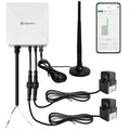 WiFi Energy Monitor with 2 * 120A Clamps, Real-Time Electricity Tracking by EdgeAnt