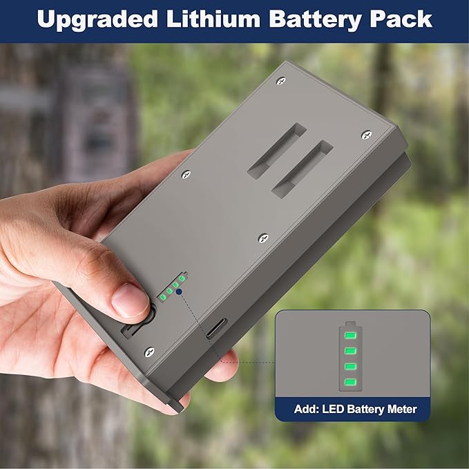 Lesaps 4Pack Rechargeable Reveal Lipo Lithium Battery Pack - Image 5