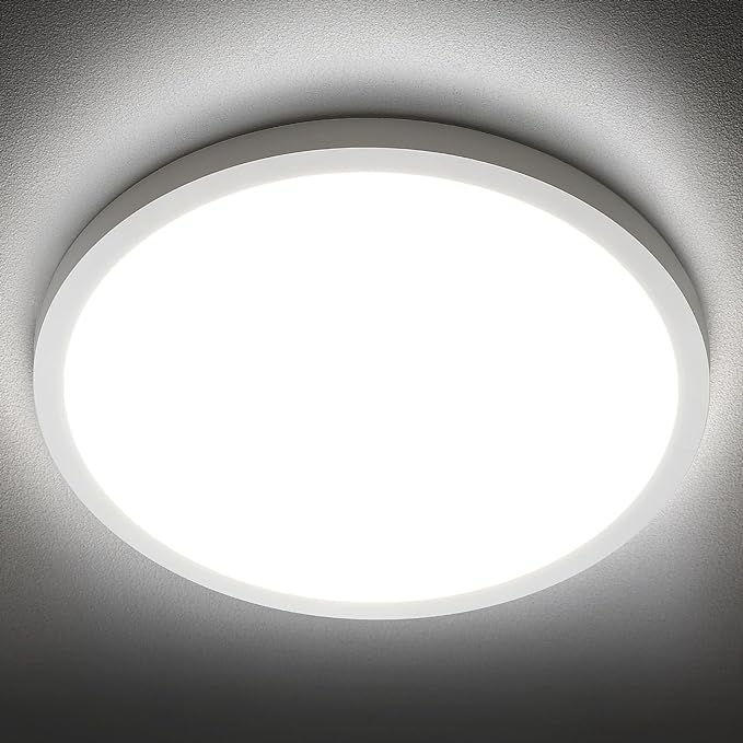 SunRider LED Flush Mount Ceiling Light Fixture, 5000K Daylight White, 12 Inch by SunRider