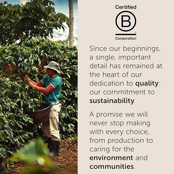 illy Arabica Selections Nicaragua Whole Bean Coffee, 100% Arabica Bean Single - Image 4
