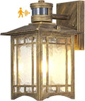 XANGQAN Bronze Outdoor Motion Sensor Lights by XANGQAN
