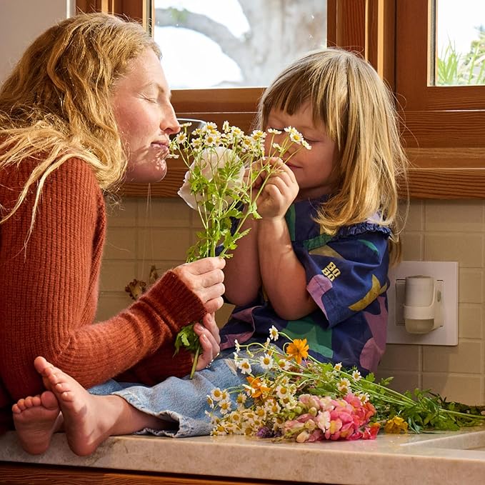 MRS. MEYER'S CLEAN DAY Scented Oil Refills, Rain Water, contains 2 .67 fl oz - Image 8