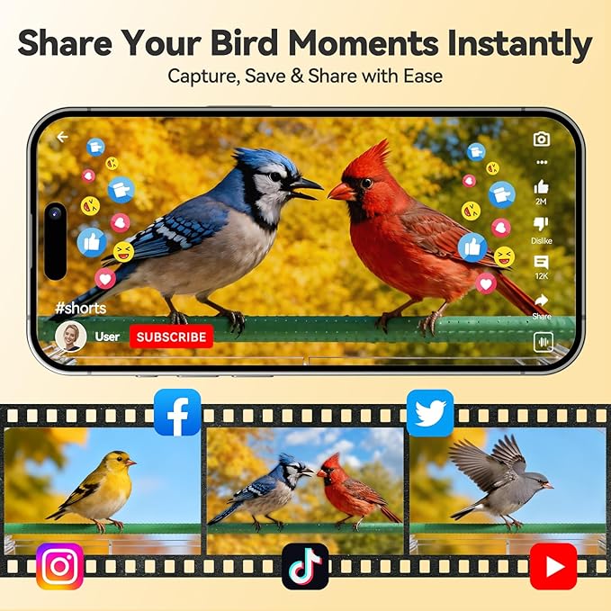 Dzees Window Bird Camera with Strong Suction Cups, 2K HD WiFi Bird Feeder - Image 7