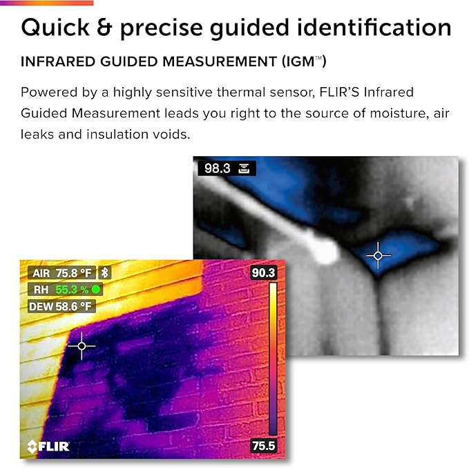 FLIR MR277 Moisture Meter, MSX IR Camera & Hygrometer - Image 4
