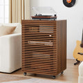 LEVNARY 5-Tier AV Media Cabinet by LEVNARY