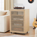 LEVNARY 5-Tier AV Media Cabinet by LEVNARY