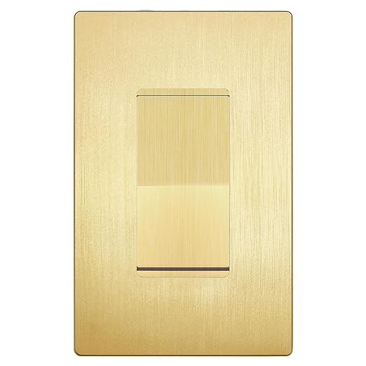 LIDER Brushed Gold Minimalist Decorator Switch by LIDER