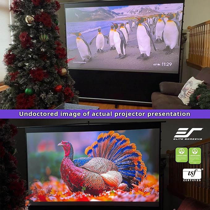 Elite Screens ezCinema Tab-Tension CineGrey 4D, 116-inch 16:9, Manual Floor - Image 9